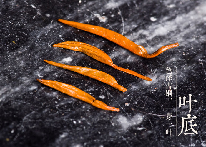 Keemun Aromatic Snail