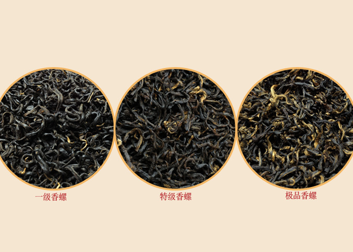 Keemun Aromatic Snail