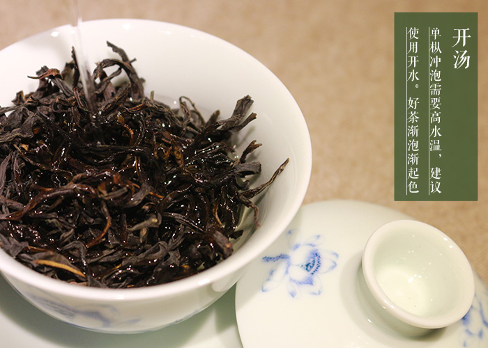 Song Zhong Dan Cong Oolong