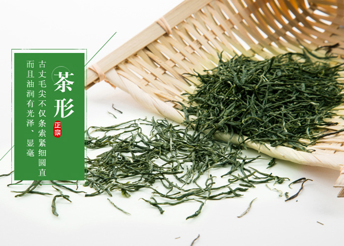 Gu Zhang Mao Jian Green Tea