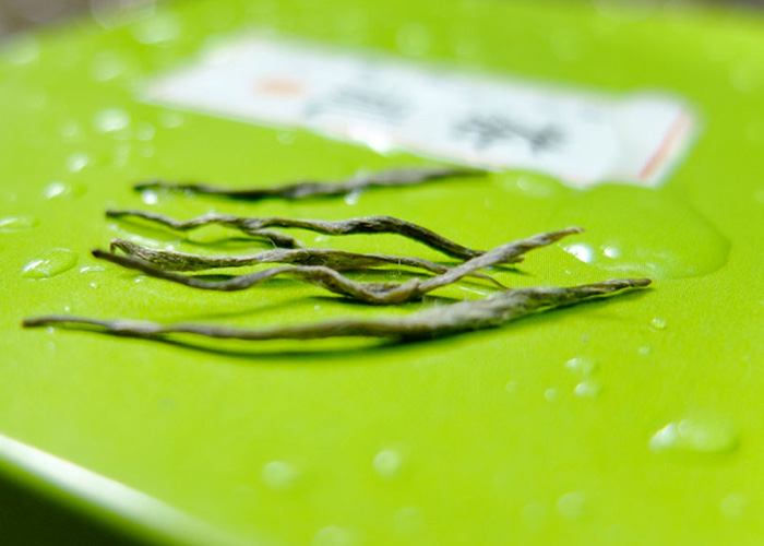 Gu Zhang Mao Jian Green Tea