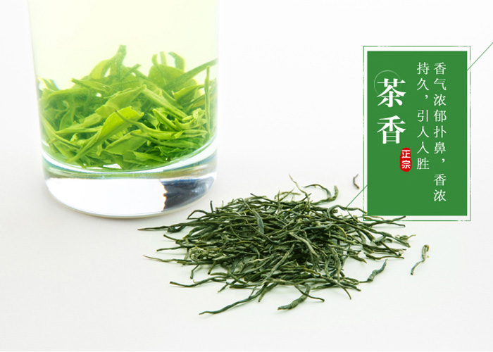 Gu Zhang Mao Jian Green Tea