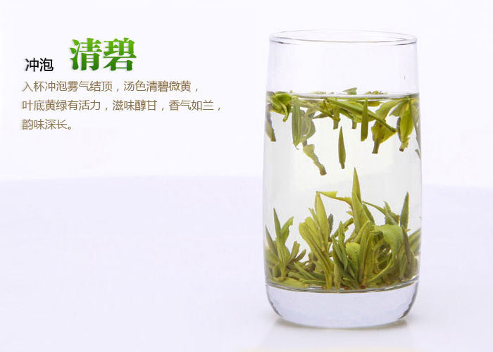 Lao Zhu Da Fang (Ding Gu Da Fang) Green Tea