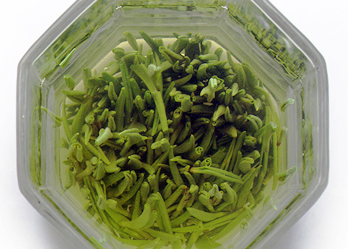 Li Yang Cui Bai Green Tea