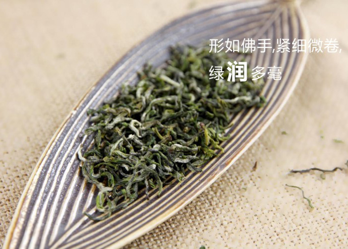 Putuo Fo Cha (Buddha Tea) Green Tea
