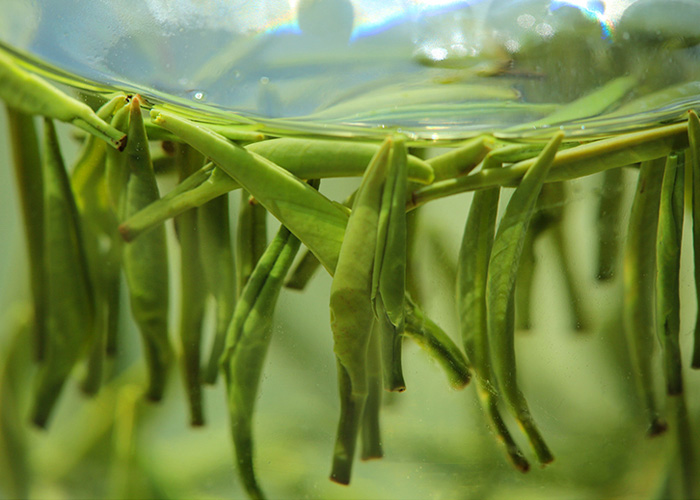 Qian Dao Yin Zhen (Silver Needle) Green Tea