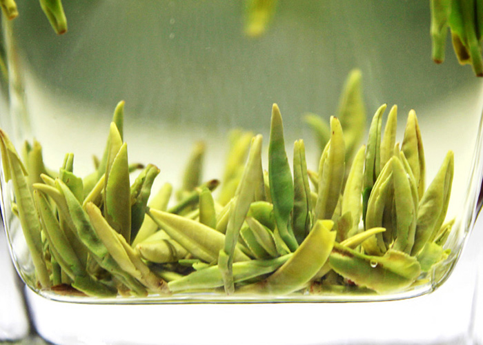Qian Dao Yin Zhen (Silver Needle) Green Tea