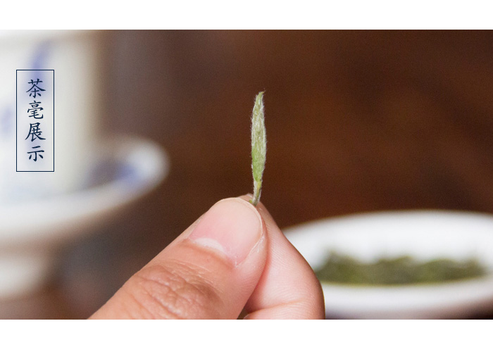 Wu Li Qing (Mist Green) Green Tea