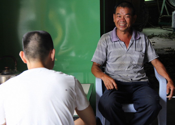 Jin Guan Yin (Golden Guan Yin) Oolong Tea
