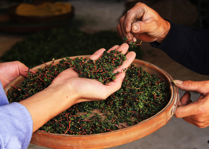 Mao Xie (Hairy Crab) Oolong Tea