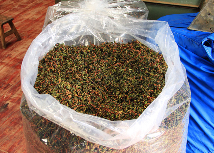 Mao Xie (Hairy Crab) Oolong Tea