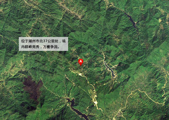 Mi Lan Xiang (Honey Orchid Aroma) Dan Cong Oolong