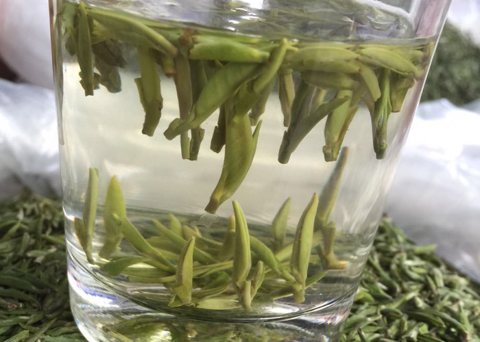 Gu Zhu Zi Sun Green Tea (Purple Bamboo Shoot)