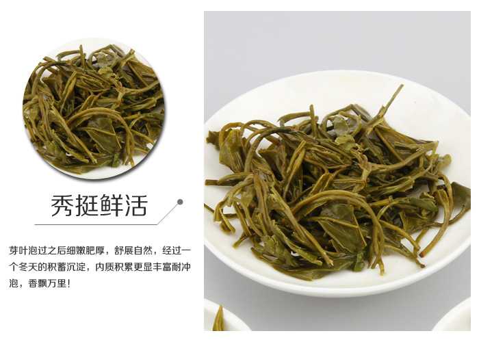 Song Yang Yin Hou (Silver Monkey) Green Tea
