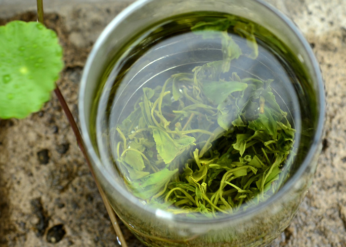 Song Yang Yin Hou (Silver Monkey) Green Tea