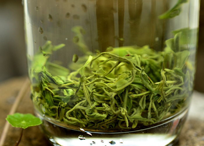 Song Yang Yin Hou (Silver Monkey) Green Tea