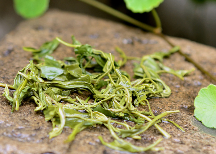 Song Yang Yin Hou (Silver Monkey) Green Tea