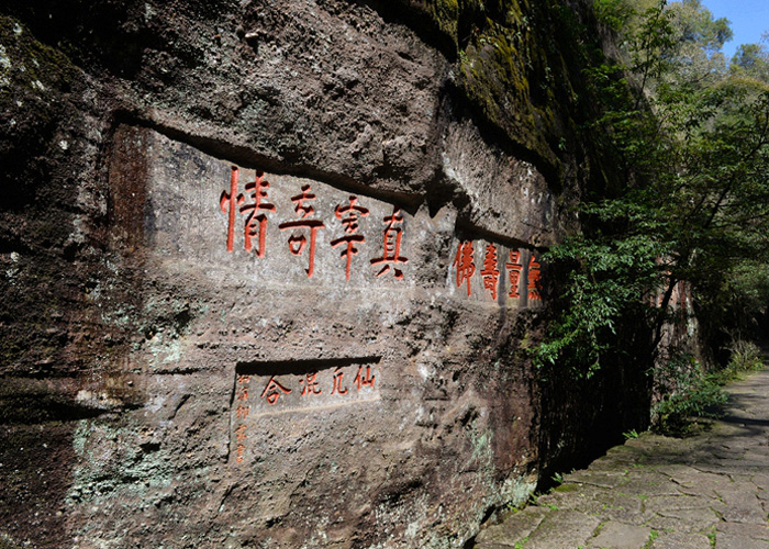Che Lan Wuyi Rock Oolong